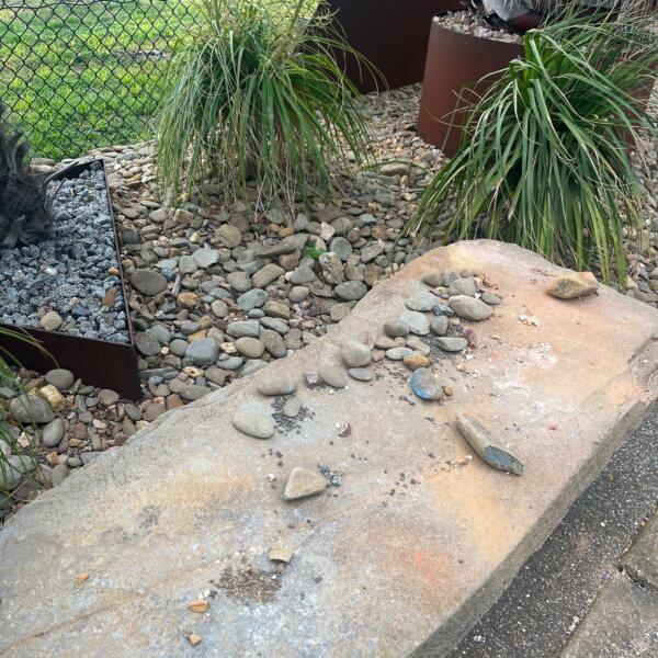 Sp Garden 1