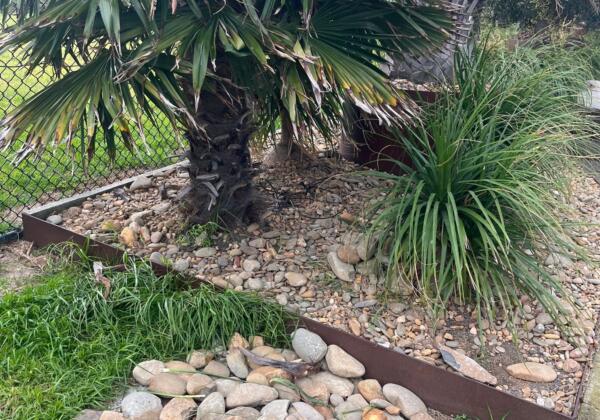Sp Garden 2
