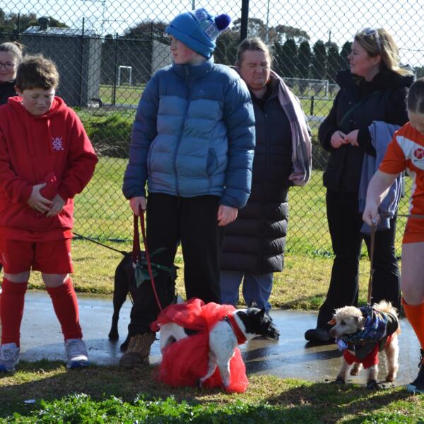 Doggie Dash 2