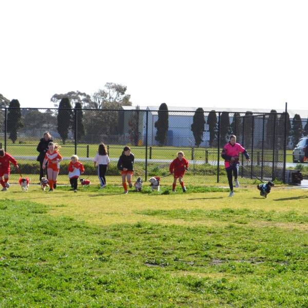 Doggie Dash 4