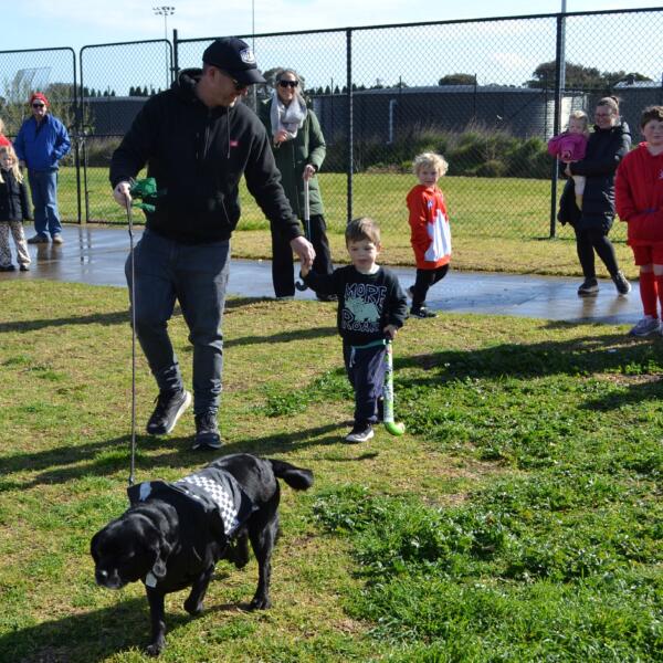 Doggie Dash 6