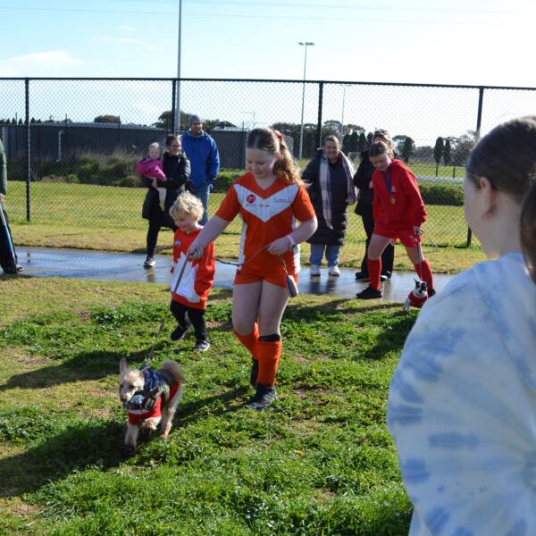 Doggie Dash 7
