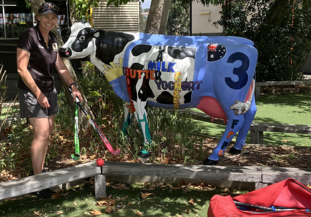 Roadshows Fyans Park