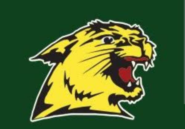 Western Wildcats Logo