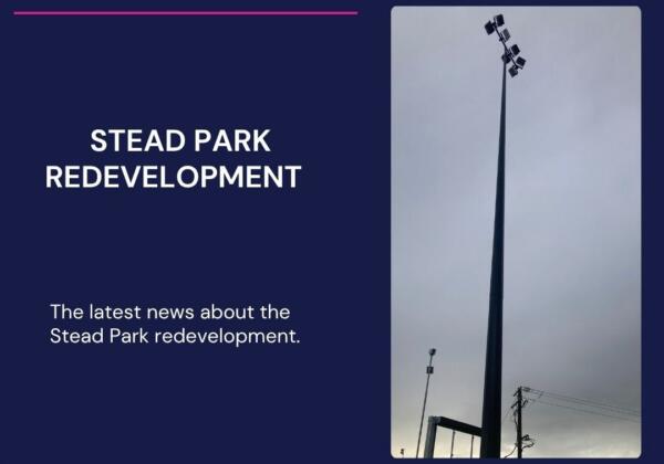 Stead Park Update