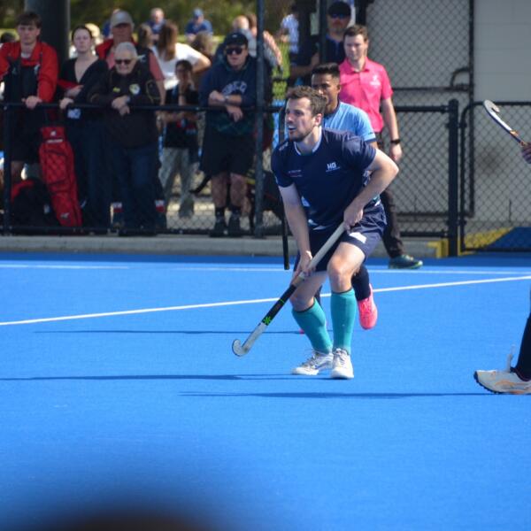 Sharks 12