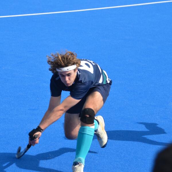 Sharks 16