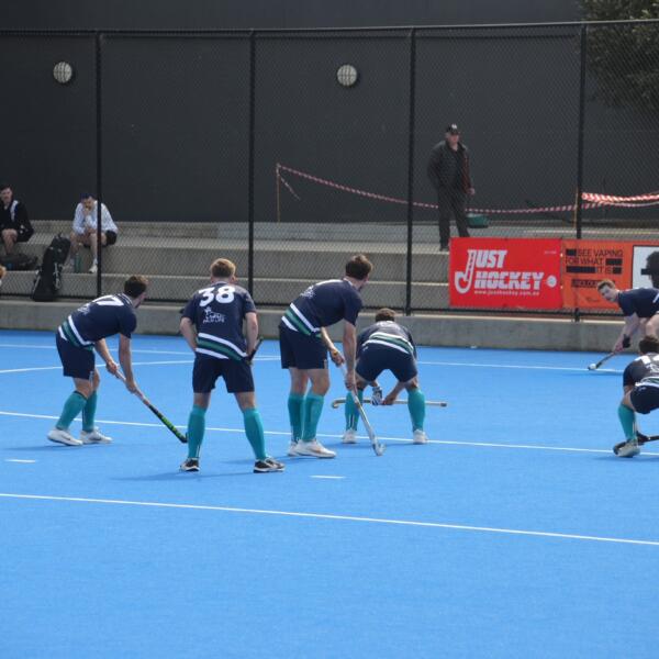 Sharks 17