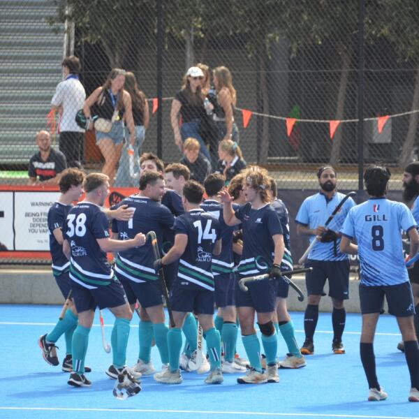 Sharks 18