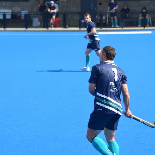 Sharks 7