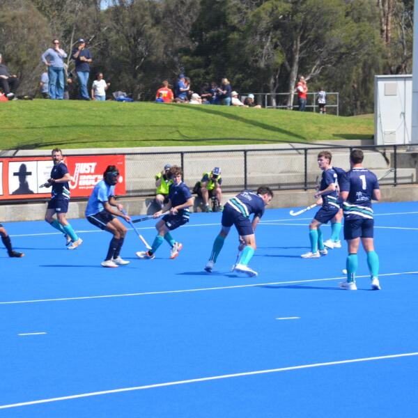 Sharks 9